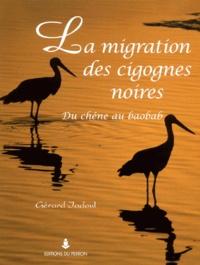 Gérard Jadoul - La Migration Des Cigognes Noires. Du Chene Au Baobab.