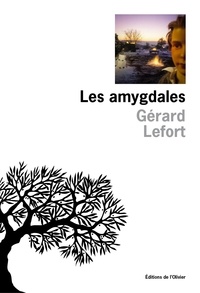Gérard Lefort - Les amygdales.