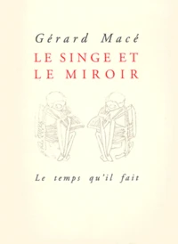 Le Singe Et Le Miroir