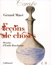 Gérard Macé - Leçons de choses.