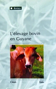 L'Elevage Bovin En Guyane. Une Innovation Majeure Dans Un Milieu Equatorial De Plaine, 1975-1990