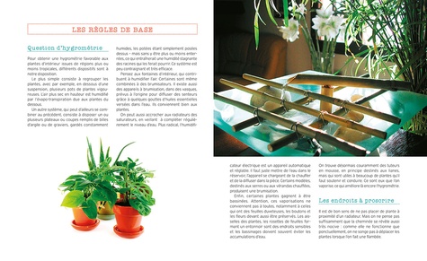 Plantes d'intérieur increvables de Gérard Sasias - Grand Format - Livre -  Decitre