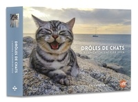 Gérard Schaller - L'agenda-calendrier Drôles de chats.