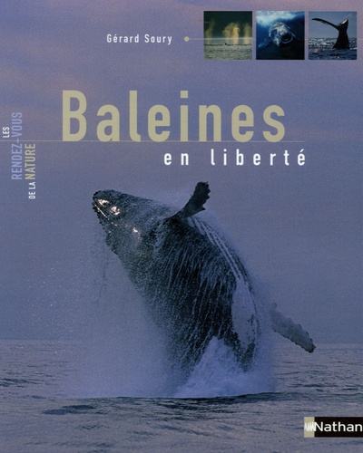 Gérard Soury - Baleines en liberté.