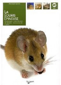 La souris épineuse