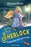 Les aventures de Sherlock  Elémentaire, mon cher Stilton !