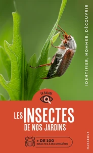 Les insectes de nos jardins