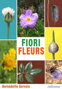 Fleurs