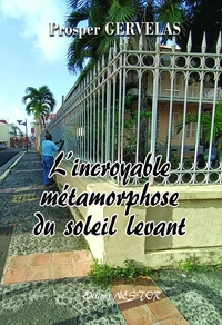 L'incroyable métamorphose du soleil levant