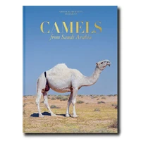 Camels from Saudi Arabia