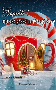 Sapristi, où est donc passé le père noel