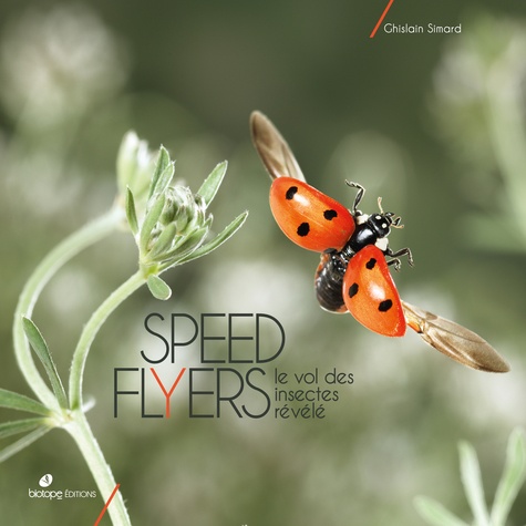 Ghislain Simard - Speed flyers - Le vol des insectes révélé.