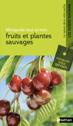 Ghislaine Tamisier - Fruits et plantes sauvages.