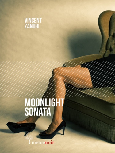 Giacomo Stefanini et Vincent Zandri - Moonlight Sonata.