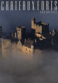 Châteaux vus du ciel