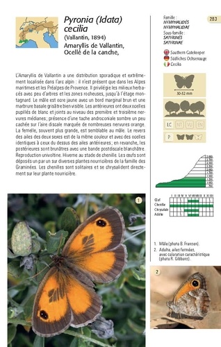 Papillons des Alpes. 238 espèces de l'arc alpin