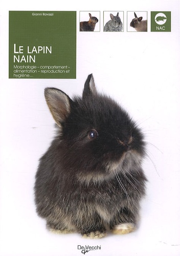 Gianni Ravazzi - Le lapin nain - Morphologie, comportement, alimentation, reproduction et hygiène.