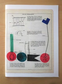 Biologia grafica