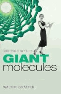 Giant Molecules - From nylon to nanotubes.