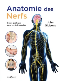 Anatomie des nerfs