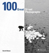 100 great street photographs