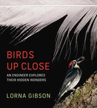 Birds Up Close
