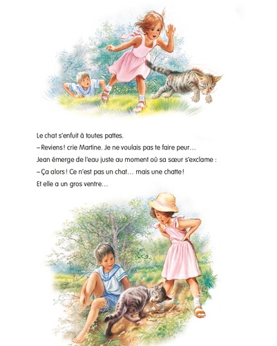 Martine Tome 44 Martine et les chatons
