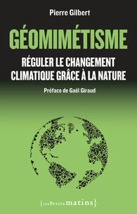 Géomimétisme