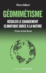 Géomimétisme