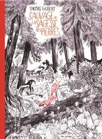 Sauvage ou la sagesse des pierres