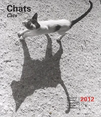 Chats