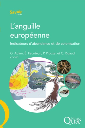 L'anguille européenne. Indicateurs d'abondance et de colonisation