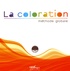 Gilles Bagard - La coloration - Méthode globale. 1 DVD