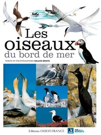 Gilles Bentz - Les oiseaux du bord de mer.