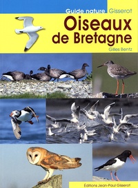 Gilles Bentz - Oiseaux de Bretagne.
