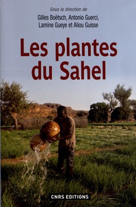 Gilles Boëtsch et Antonio Guerci - Les plantes du Sahel - Usages et enjeux sociaux.