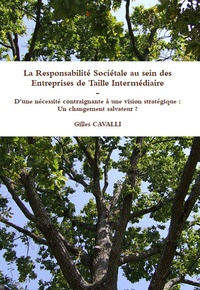 Gilles Cavalli - La responsabilité sociétale au sein des entreprises de taille intermédiaire.
