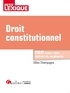 Gilles Champagne - Droit constitutionnel.