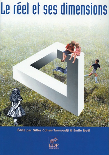 Le réel et ses dimensions. Huitième rencontre " Physique et interrogations fondamentales", 19 novembre 2003