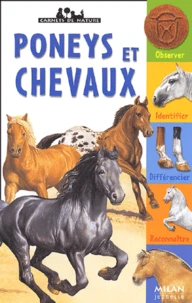Poneys et chevaux
