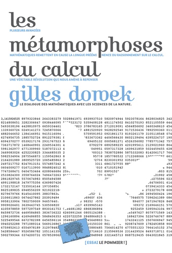 Les metamorphoses du calcul. Une étonnante histoire de mathématiques