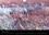 CALVENDO Nature  Flânerie en Dombes (Calendrier mural 2020 DIN A4 horizontal). Une promenade dans la Dombes aux mille étangs (Calendrier mensuel, 14 Pages )