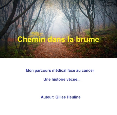  Gilles Heuline - CHEMIN DANS LA BRUME.