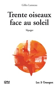 Gilles Lanneau - Trente oiseaux face au soleil.