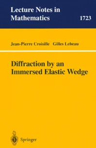 Diffraction by an Immersed Elastic Wedge