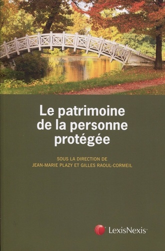 Gilles Raoul-Cormeil et Jean-Marie Plazy - Le patrimoine de la personne protégée.