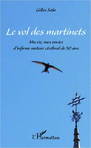 Le vol des martinets