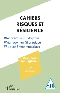 Cahiers risques et résilience