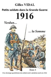 1916, Verdun et la Somme