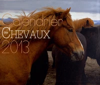 Calendrier des chevaux 2013